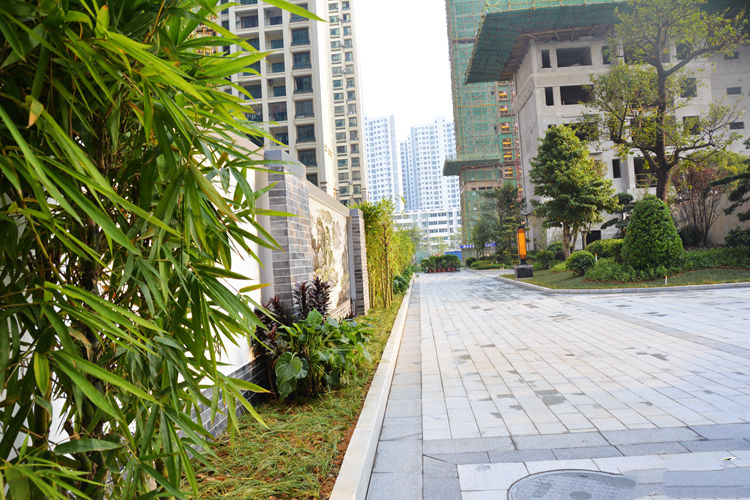 我们的故事，漂洋过海而来，从这样的样板间开始！