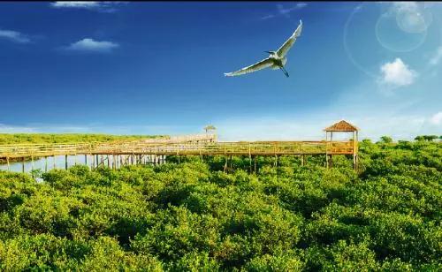 繁华与静谧兼得，给你一个海边的家