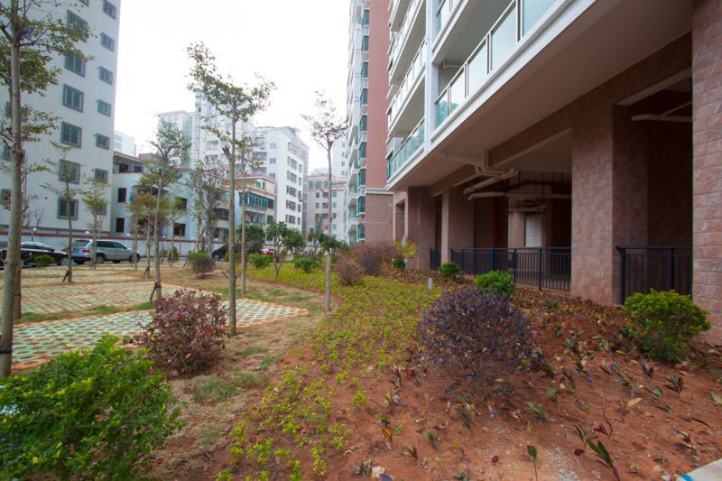 小区园林.jpg